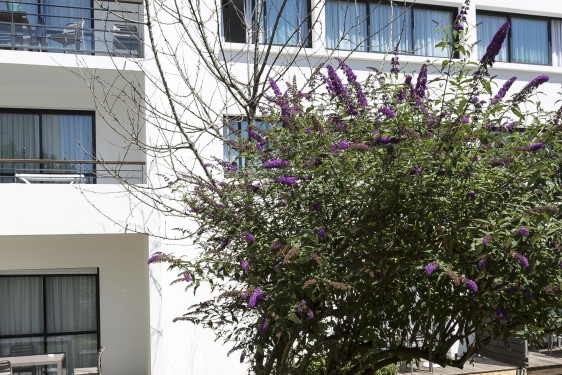 Odalys Résidence Archipel La Rochelle