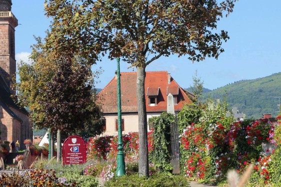 Odalys Résidence Le Domaine des Rois Bergheim